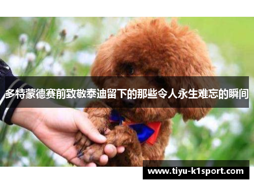多特蒙德赛前致敬泰迪留下的那些令人永生难忘的瞬间 多特蒙德赛前致敬泰迪留下的那些令人永生难忘的瞬间