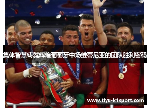 集体智慧铸就辉煌葡萄牙中场维蒂尼亚的团队胜利密码