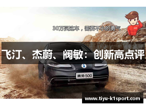 飞汀、杰蔚、阀敏：创新高点评