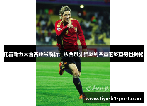 托雷斯五大著名绰号解析：从西班牙猎鹰到金童的多重身份揭秘